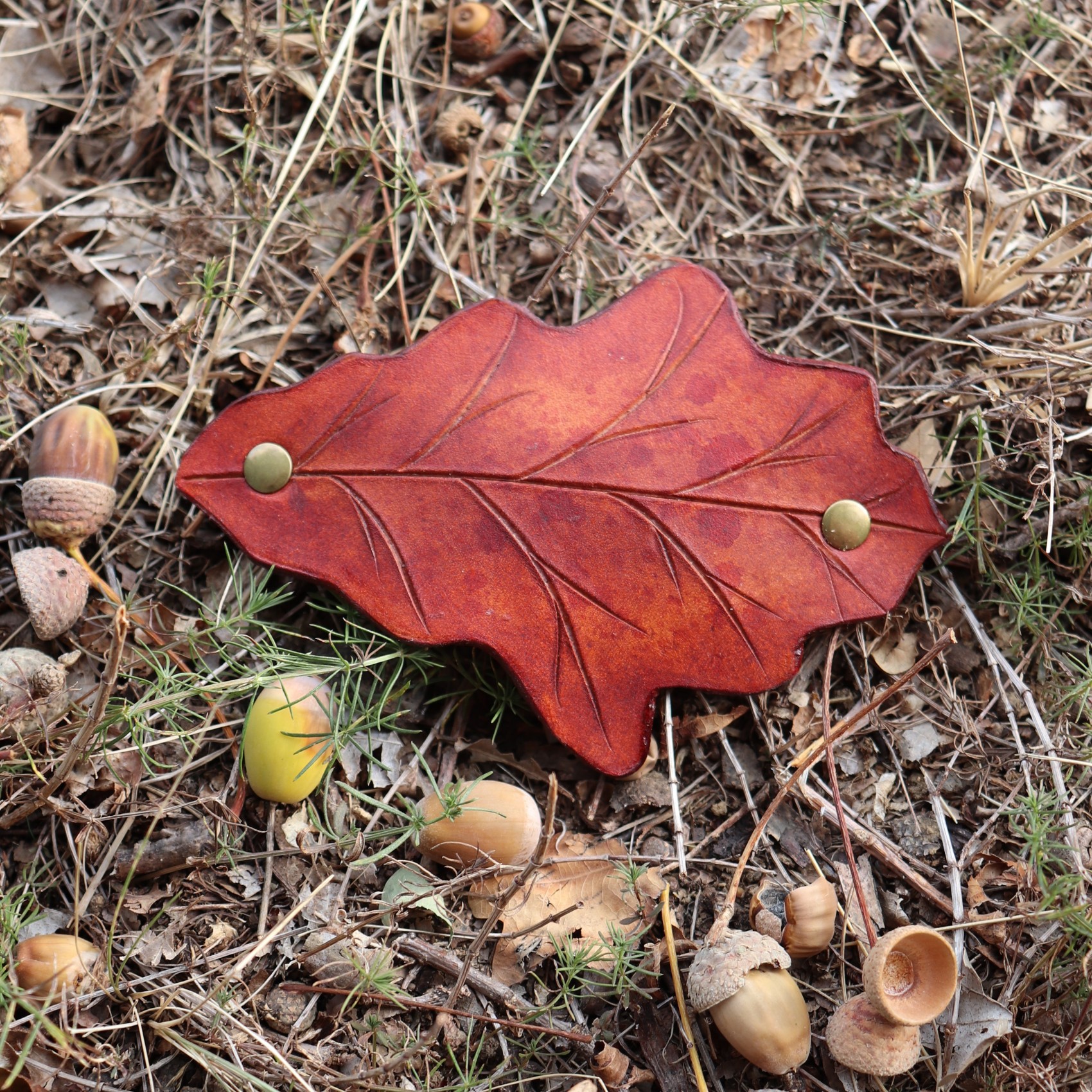Spona do vlasů Ancient Oak - Image 2