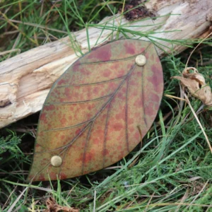 Spona do vlasů Elven Leaf